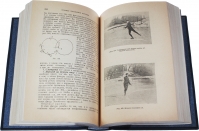 Искусство катанья на коньках. Панин Н.А. Антикварная книга